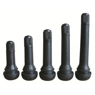 TR418 Snap-In Valve (100)